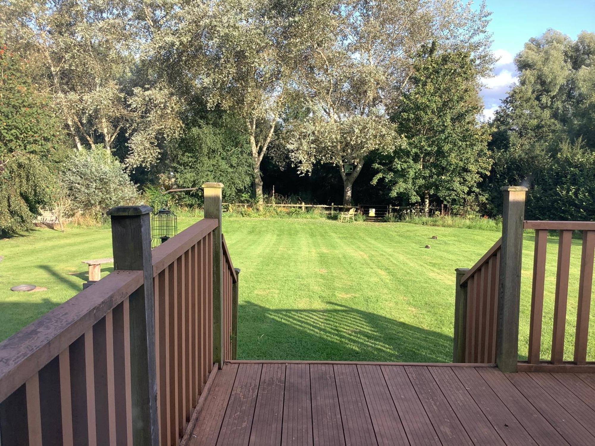 Leverets - Squirrel Lane * Ludlow