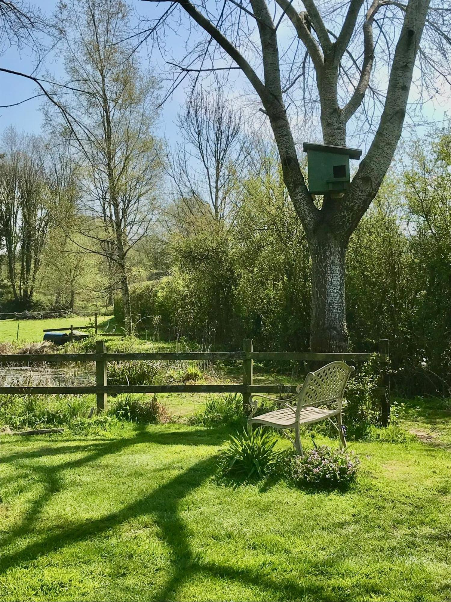 Leverets - Squirrel Lane *